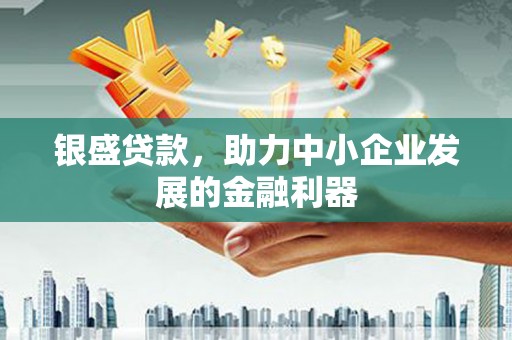 双柏银盛贷款，助力中小企业发展的金融利器