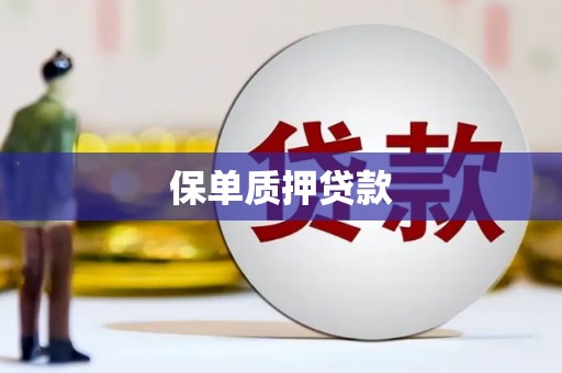 双柏保单质押贷款