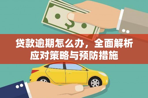 双柏贷款逾期怎么办，全面解析应对策略与预防措施