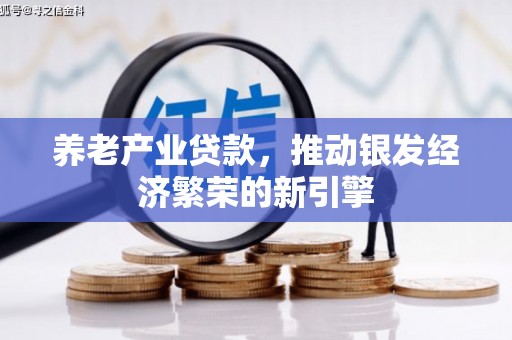 双柏养老产业贷款，推动银发经济繁荣的新引擎