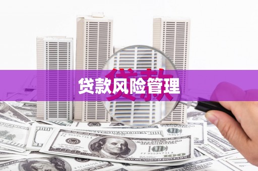 双柏贷款风险管理