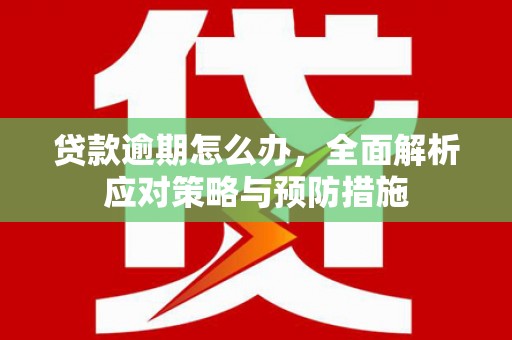 双柏贷款逾期怎么办，全面解析应对策略与预防措施