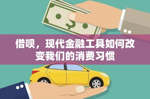 双柏借呗，现代金融工具如何改变我们的消费习惯