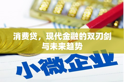 双柏消费贷，现代金融的双刃剑与未来趋势