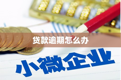 双柏贷款逾期怎么办