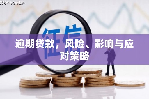 双柏逾期贷款，风险、影响与应对策略