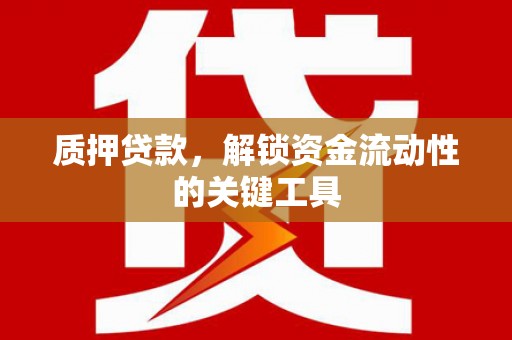 双柏质押贷款，解锁资金流动性的关键工具