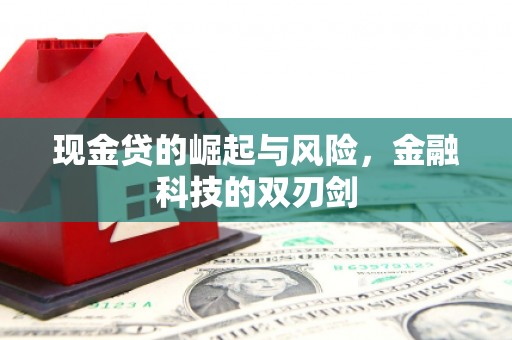 双柏现金贷的崛起与风险，金融科技的双刃剑