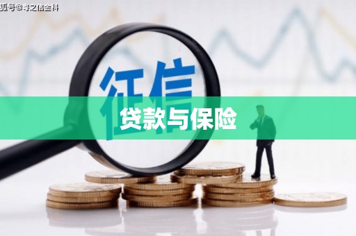 双柏贷款与保险