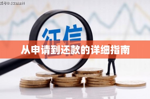 双柏从申请到还款的详细指南