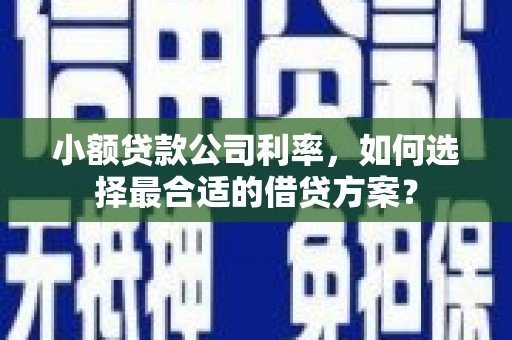 双柏小额贷款公司利率，如何选择最合适的借贷方案？