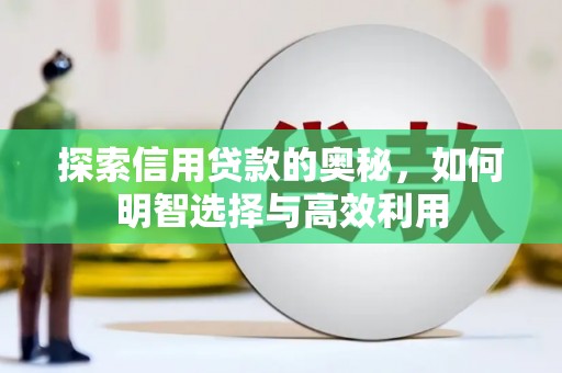双柏探索信用贷款的奥秘，如何明智选择与高效利用