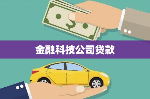 双柏金融科技公司贷款