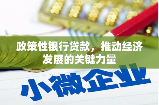 双柏政策性银行贷款，推动经济发展的关键力量