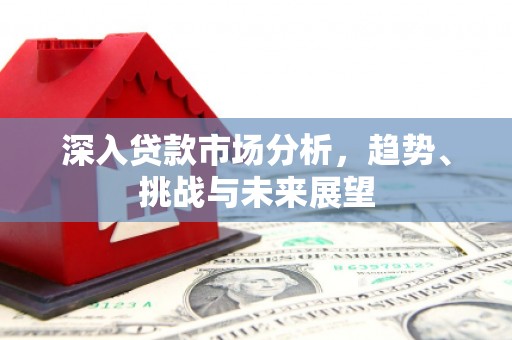 双柏深入贷款市场分析，趋势、挑战与未来展望