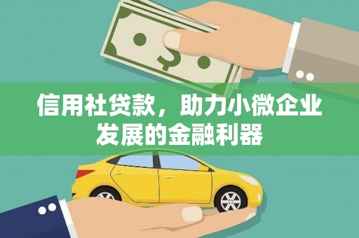 双柏信用社贷款，助力小微企业发展的金融利器