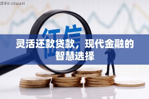 双柏灵活还款贷款，现代金融的智慧选择