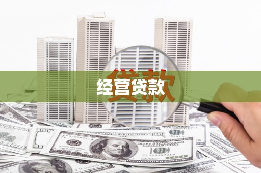 双柏经营贷款