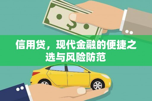 双柏信用贷，现代金融的便捷之选与风险防范