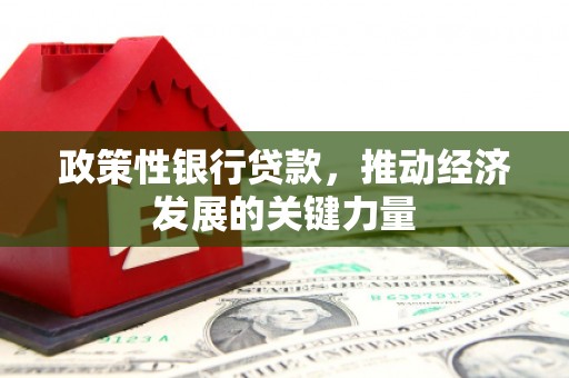 双柏政策性银行贷款，推动经济发展的关键力量