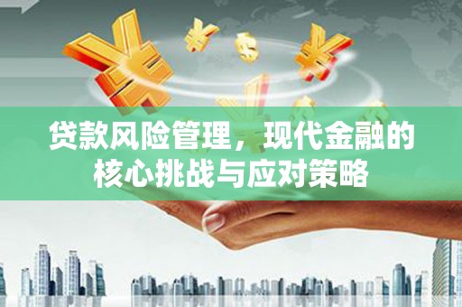 双柏贷款风险管理，现代金融的核心挑战与应对策略