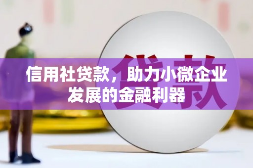 双柏信用社贷款，助力小微企业发展的金融利器