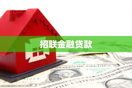 双柏招联金融贷款