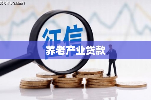 双柏养老产业贷款