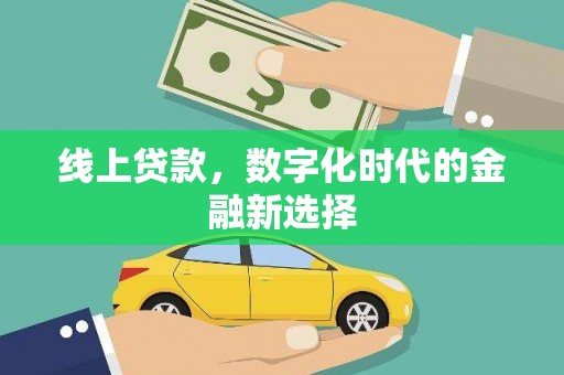 双柏线上贷款，数字化时代的金融新选择