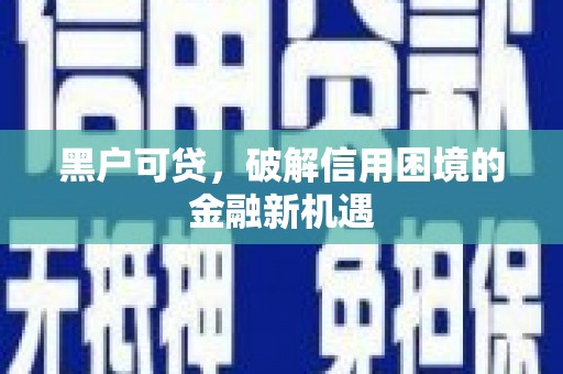 双柏黑户可贷，破解信用困境的金融新机遇