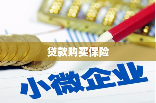 双柏贷款购买保险