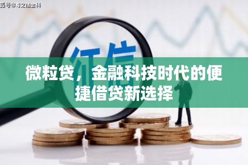 双柏微粒贷，金融科技时代的便捷借贷新选择