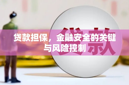 双柏贷款担保，金融安全的关键与风险控制