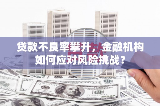 双柏贷款不良率攀升，金融机构如何应对风险挑战？