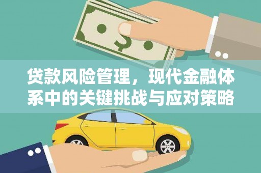 双柏贷款风险管理，现代金融体系中的关键挑战与应对策略