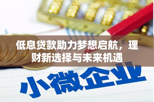 双柏低息贷款助力梦想启航，理财新选择与未来机遇