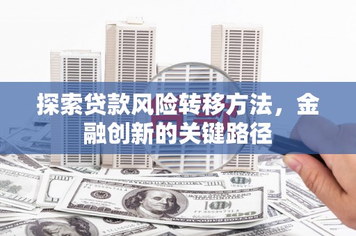 双柏探索贷款风险转移方法，金融创新的关键路径