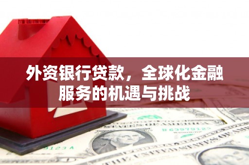 双柏外资银行贷款，全球化金融服务的机遇与挑战