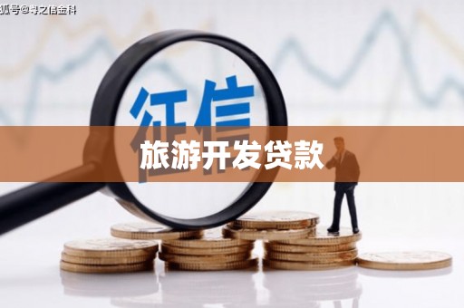 双柏旅游开发贷款