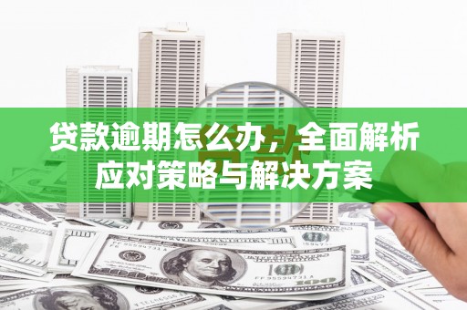 双柏贷款逾期怎么办，全面解析应对策略与解决方案