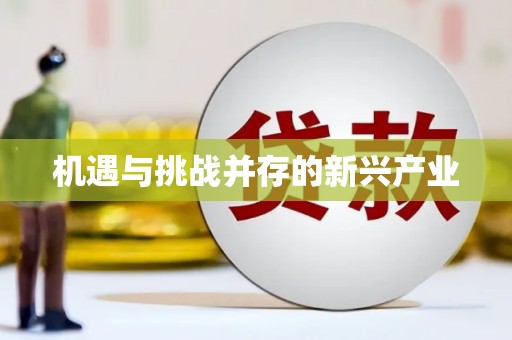 双柏机遇与挑战并存的新兴产业