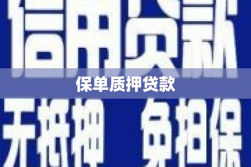 双柏保单质押贷款