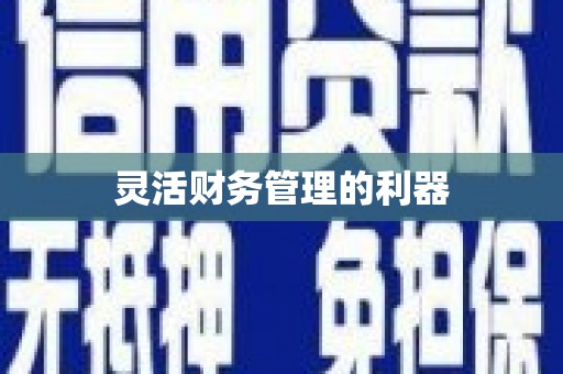双柏灵活财务管理的利器