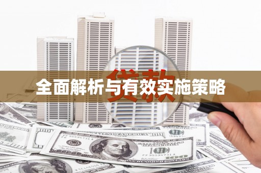 双柏全面解析与有效实施策略
