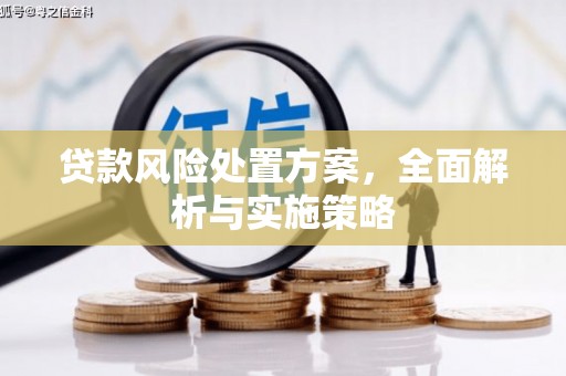 双柏贷款风险处置方案，全面解析与实施策略