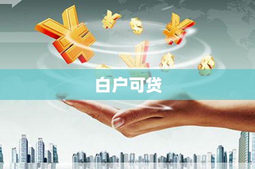双柏白户可贷