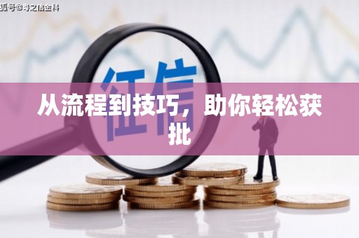 双柏从流程到技巧，助你轻松获批