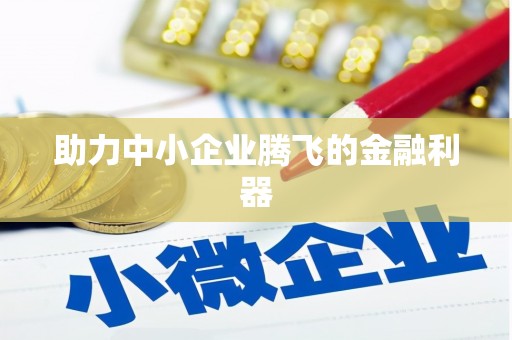 双柏助力中小企业腾飞的金融利器