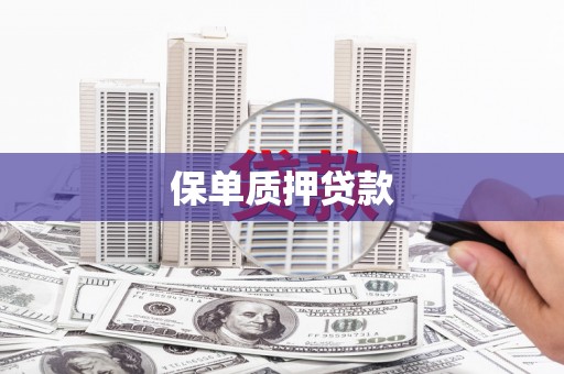 双柏保单质押贷款