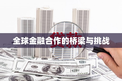 双柏全球金融合作的桥梁与挑战